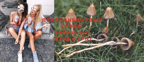 дживик Гусиноозёрск