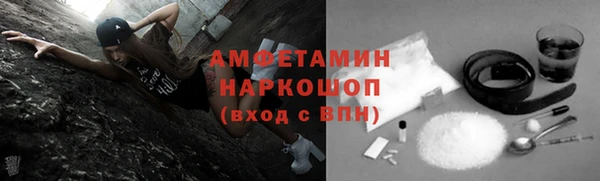 твердый Гусь-Хрустальный