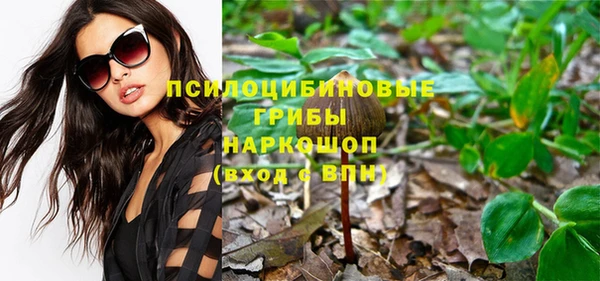 каннабис Гусев