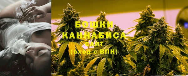твердый Гусь-Хрустальный