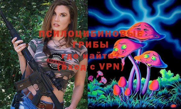 дживик Гусиноозёрск