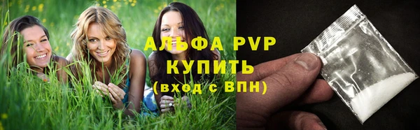 твердый Гусь-Хрустальный